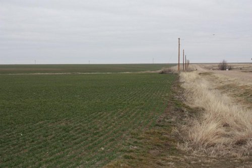 Property photo 13 - Kansas Land Auction - 960 Acres - 7 Farms in 3 Counties